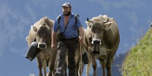 OECD-Vergleich: Schweiz leistet sich teure Landwirtschaft