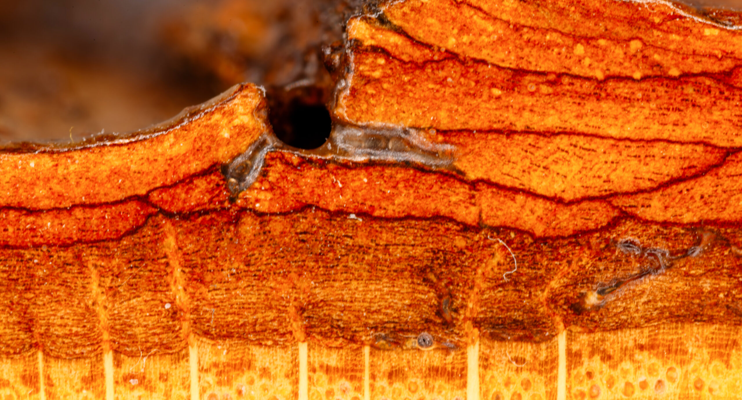 Nachhaltige Entwicklung ist mehr als ein politisches Schlagwort