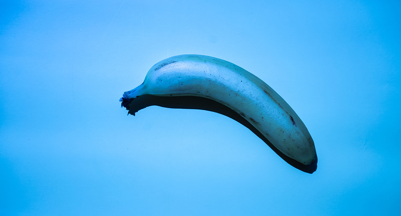 L’Autriche, plaque tournante du commerce avec l’Europe de l’Est